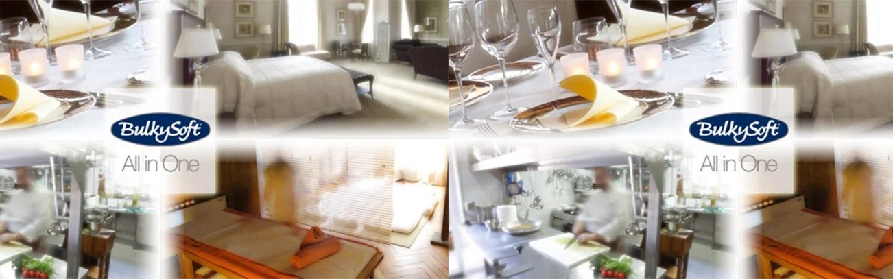 header_bulkysoft_all-in-one